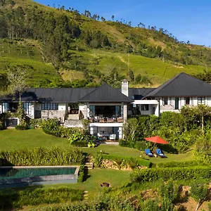 Camellia Hills *** Hatton